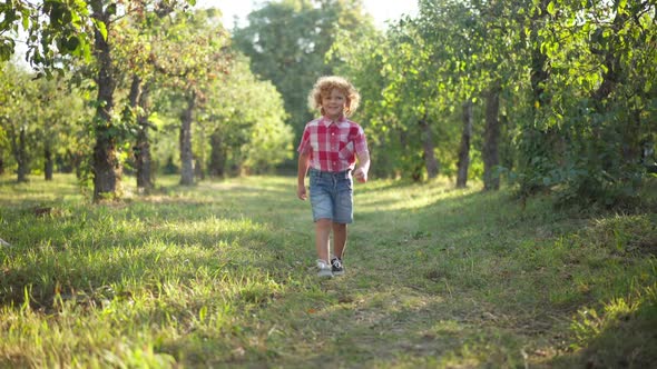 Wide Shot Happy Smiling Cute Redhead Boy Walking to Camera in Sunlight Outdoors alt