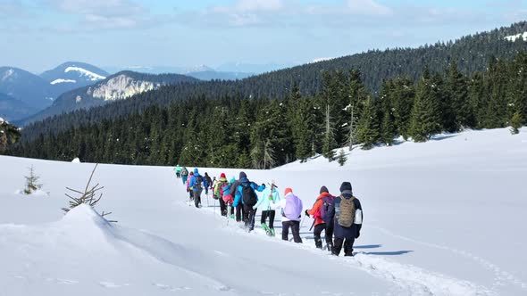 Hiking tour in the winter Carpathians, Romania. A group of people with backpacks and ski poles climb alt