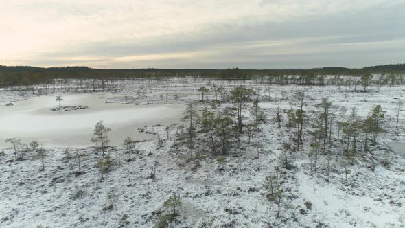 Frozen Lakes in Snowy Winter Bog Nature Landscape at Sunset Aerial View alt