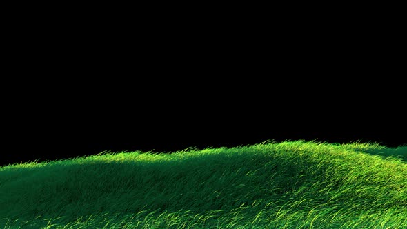 Blowing Grass Loop  alt