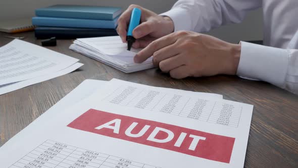 Papers with Audit Report and Working Auditor