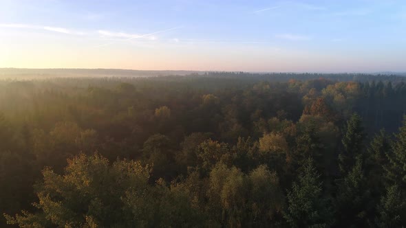 Aerial View of Beautiful Forest Landscape at Sunrise