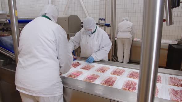 Manual Layout of Chopped Bacon on Trays is Controlled By Laser Scales alt
