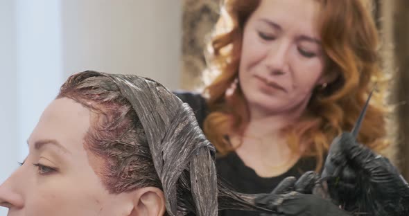 Women Apply Hair Bleach on Beauty Salon Visitor Head Closeup