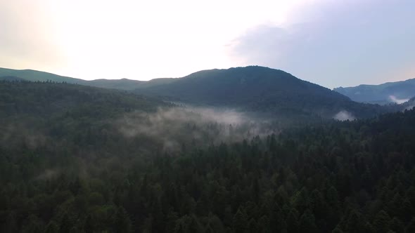 Forest steam clouds aerial