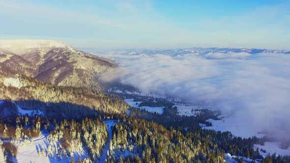 High Snowy Mountain Covered with Evergreen Fir Trees on a Sunny Cold Day alt