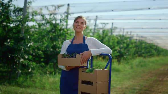 Beautiful Female Farmer Looking Camera Near Fresh Fruit Box at Agrarian Orchard alt