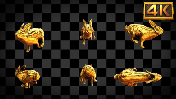 [6 In 1]4K Golden Rabbit Run