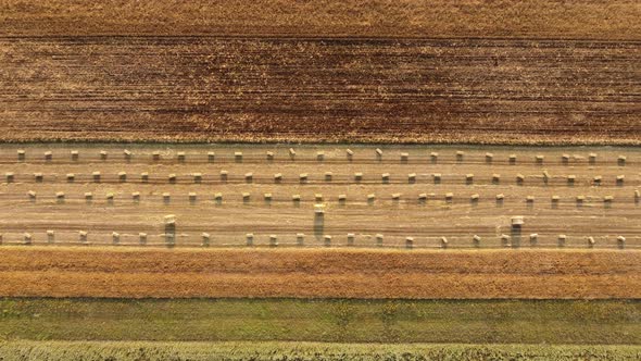 aerial view of field with bales of straw. Field work, collection of hay and straw of ripe wheat. 