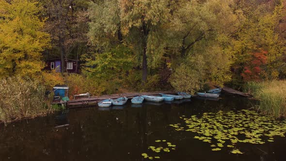 old pier by the river with a forest. aerial panorama alt