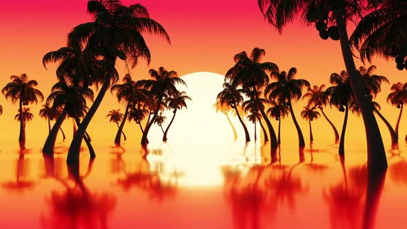 Silhouettes Of Palm Trees On Tropical Ocean Sunset