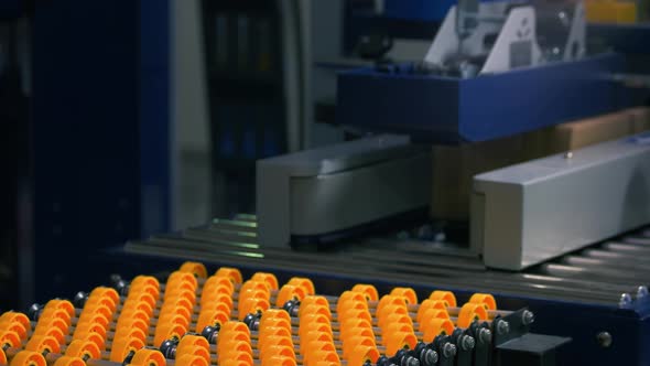 Package Box on the Industrial Conveyor Line alt