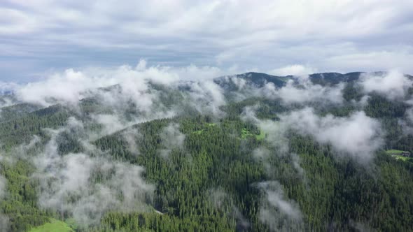 Forest and Clouds Aerial View