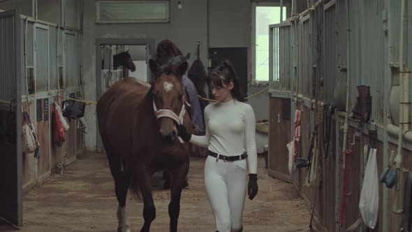 A rider takes her horse out for a walk