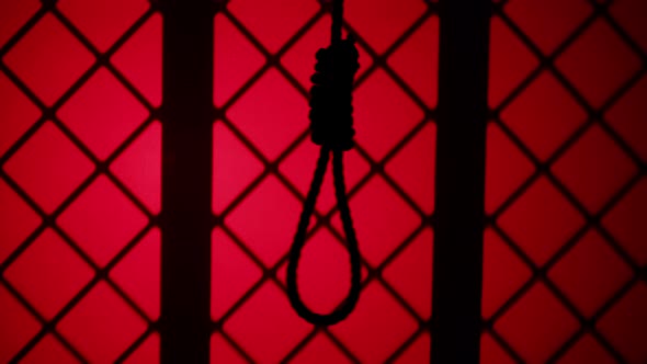 Gallows Shadow Closeup alt