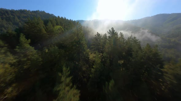 FPV Sports Drone Shot Foggy Rainforest Mountain Terrain Covered By Dense Trees at Sun Light Beam alt