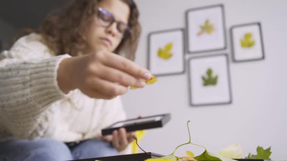 Long Haired Lady Put Dried Leaves Under Frame Glass