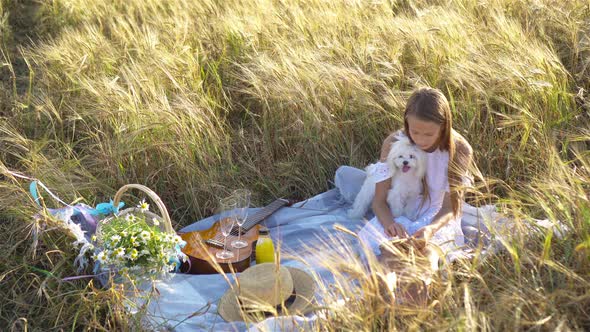Happy Child in Wheat Field Play with Dog