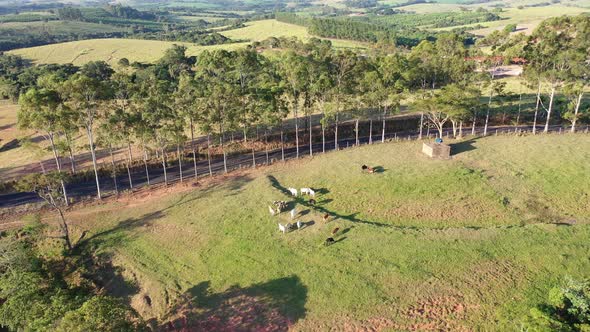 Farming landscape at countryside rural scenery. alt