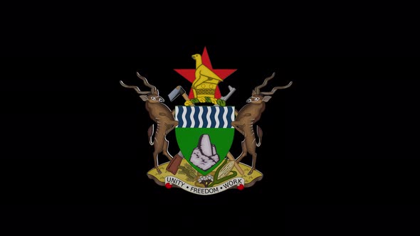 Coat Of Arms Of  Zimbabwe With Alpha Channel  - 4K alt