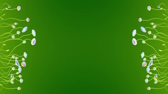 Growing Vines And Flourishes, Motion Graphics | VideoHive