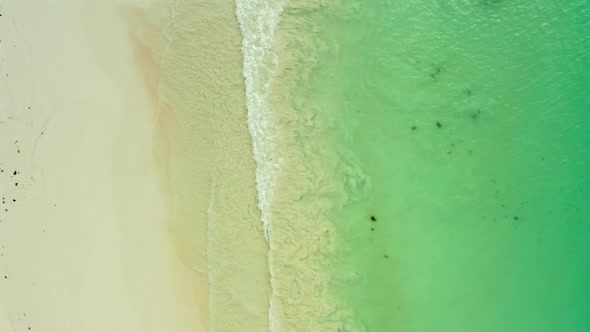 Aerial View of a Sandy Beach on the Coast of the Indian Ocean alt