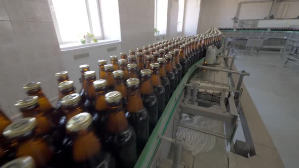 Filled and Corked Bottles on Conveyor Belt in Beer Factory