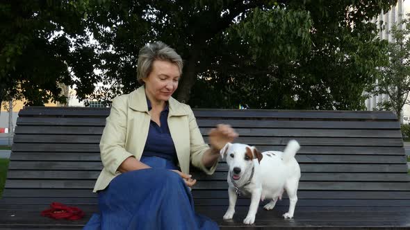 Woman Sitting in Park with Pregnant Dog alt