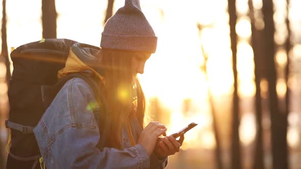 Young attractive girl in a denim jacket uses a smartphone in the forest in sunny weather.