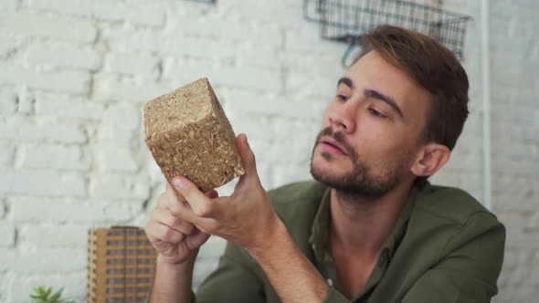Architect holding block of pressed wood alt