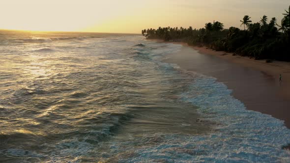 waves on the beach at sunset, palm trees