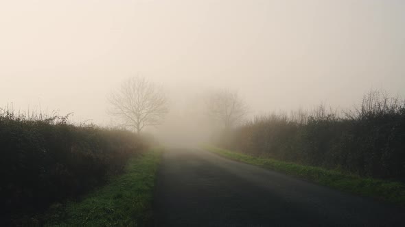 Rural narrow countryside road in thick fog and mist, dangerous bad driving conditions in foggy misty alt