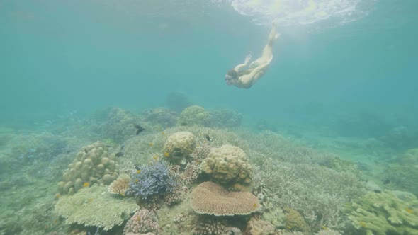 Young Woman in Goggles Snorkeling and Watching Coral Reef and Tropical Fish in Sea. Girl Diving in alt