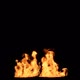 Camp Fire Long Flames Front View - VideoHive Item for Sale