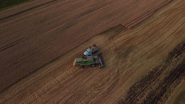 Flying in circle above harvester combiner and a lorry car while loading just harvested wheat