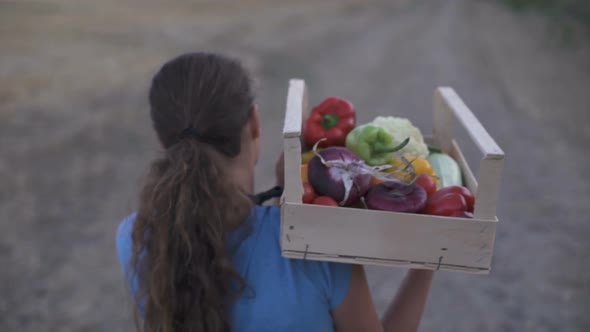 Farmer Holding a Box of Freshly Picked Organic Vegetables