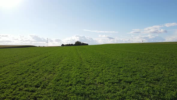 Flyover of farm field on top of a hill on a bright summer day. Leaves gently moving in the wind.