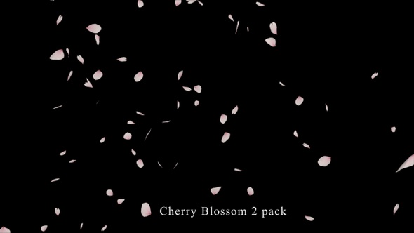 Cherry Blossom 2 Pack  4K alt