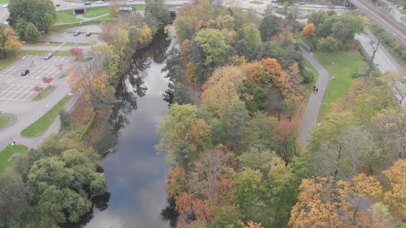 Autumn Trees Along River Foliage Concept Slow Pull Back Aerial