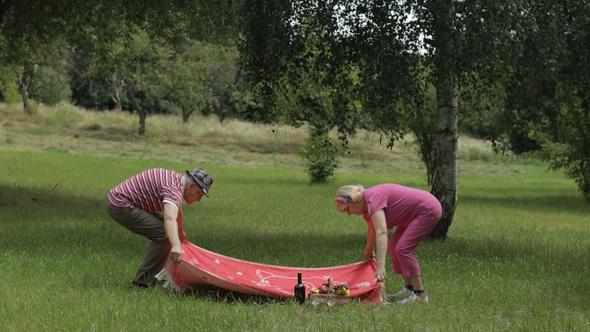 Family Weekend Picnic. Active Senior Old Caucasian Couple Sit Down on Blanket on Green Grass Meadow alt