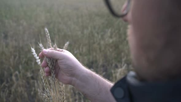 Farmer Works with a Computer Tablet in a Wheat Field at Sunset alt