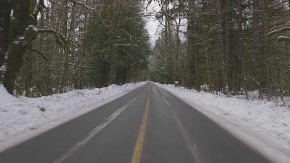 Scenic Road in the Canadian Nature Forest with Snow During Winter alt