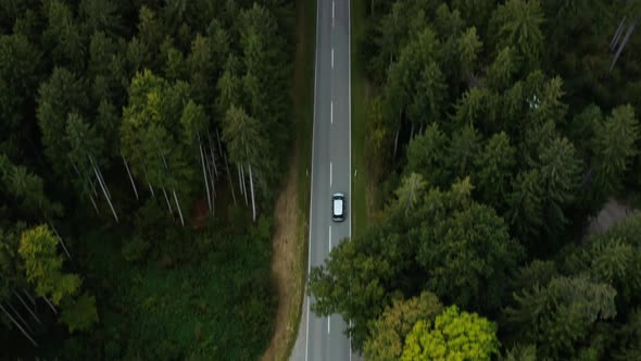 Dreamy look up shot of a car which drives to the wide horizon, concept for an idyllic country roads alt