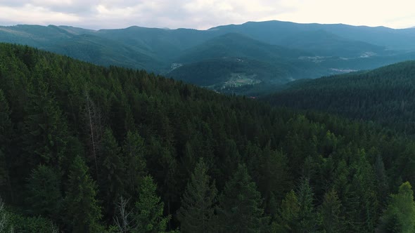 View From a Height of a Mountain Forest