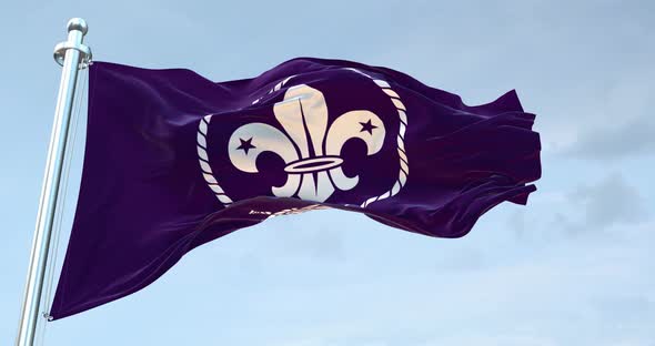 World Scout  Flag Waving  Loop  4 K alt