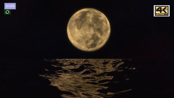 Motion Ocean And Moon Night A1 4K