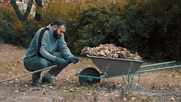 Garden Worked Who Is a Man Removing and Cleaning the Dry Leaves From the Rake alt