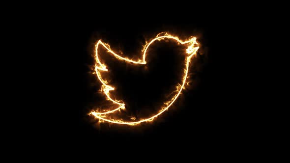 Fire Tweeter Social Media Icon, Motion Graphics | VideoHive