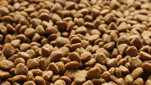 Slow tilt on pile of pet dry food 4K 2160p 30fps UltraHD footage - Extruded  pellet meal for domesti alt