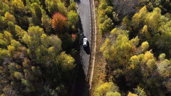 Flying Above a White Car Driving on Colorful Autumn Forest Road alt